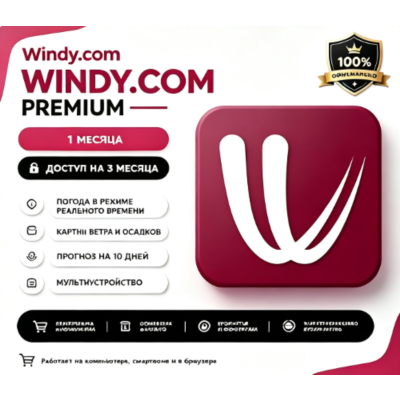 Подписка на премиум-аккаунт Windy.com на 1 год