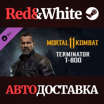 Terminator T-800 DLC * STEAM РОССИЯ🔥АВТОДОСТАВКА