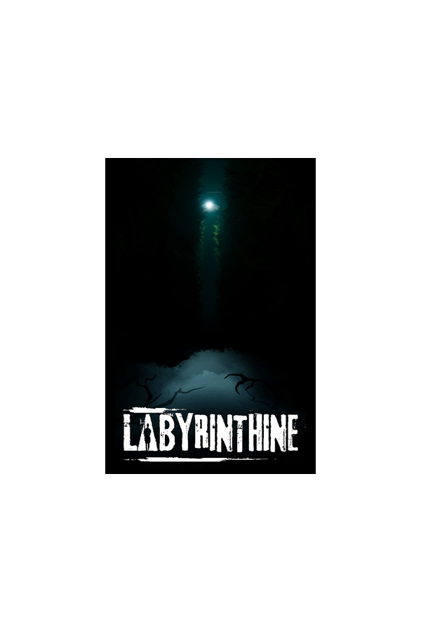 Labyrinthine (Аренда аккаунта Steam) Онлайн, GFN, VR