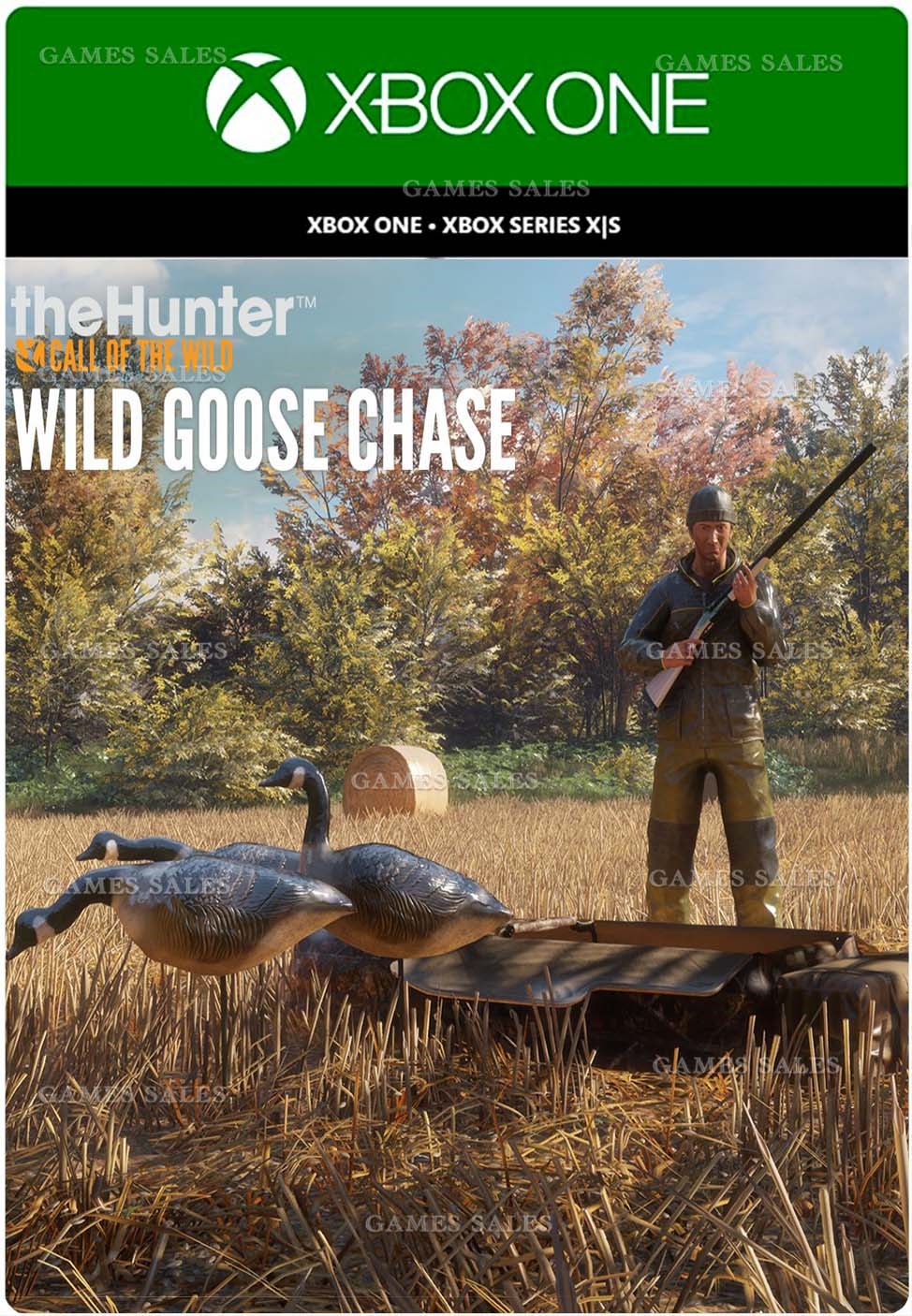 ✅❤️CALL OF THE WILD - WILD GOOSE CHASE GEAR🔑XBOX✅