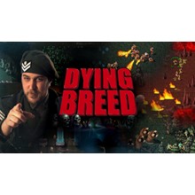 Dying Breed [itch.io] KEY GLOBAL + 🎁