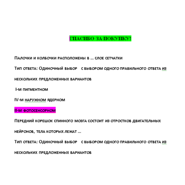 Анатомия центральной нервной системы — ответы СИНЕРГИЯ