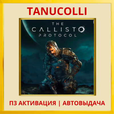 ☀️ The Callisto Protocol (PS4/PS5/RU) П3 Активация