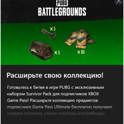 PUBG - 2024 Exclusive Survivor Pack #1