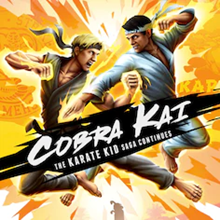 ✅✅ Cobra Kai: The Karate Kid Saga ✅✅ PS4 Турция 🔔 пс