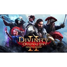 Divinity Original Sin 2 Definitive 🔵 Steam-Все регионы