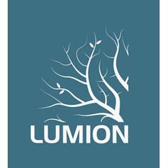 Lumion Pro Edu 1 пользователь 1 год