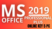 Microsoft Office Pro Plus 2019 5 PC Online CD KEY