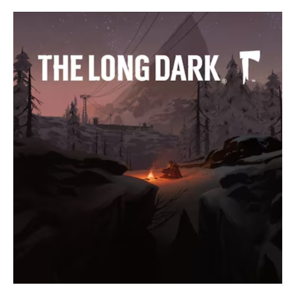 The Long Dark PS Турция На ВАШ аккаунт!