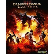 Dragon's Dogma: Dark Arisen Steam Key GLOBAL