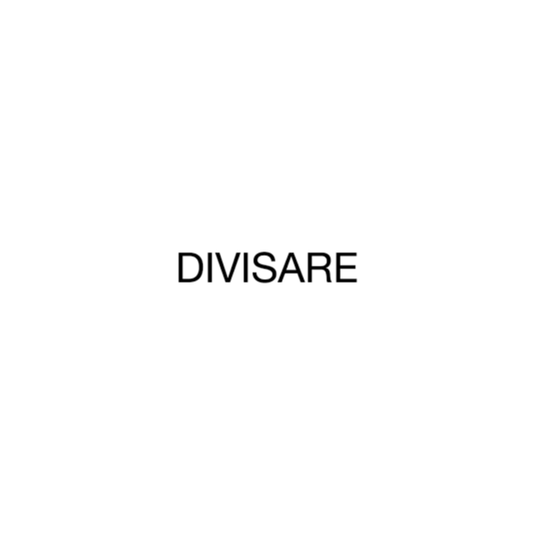 Divisare Architecture Premium Access Счет 12 месяцев
