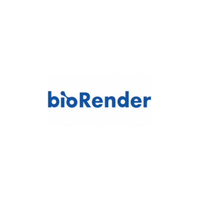 Подписка на премиум аккаунт Biorender 6 месяц