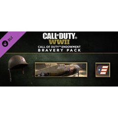 Call of Duty®: WWII - Call of Duty Endowment Brave USA