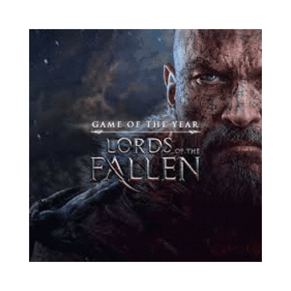 Lords of the Fallen (2014) PS4/PS5 Турция