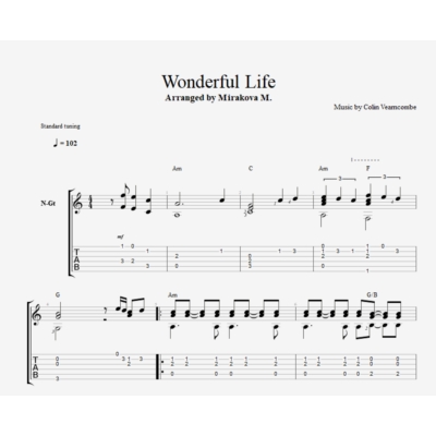 Wonderful Life