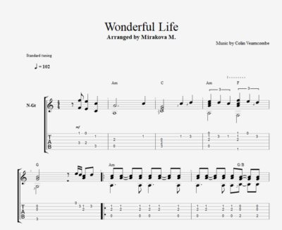 Wonderful Life