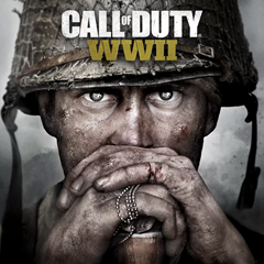 Все регионы☑️⭐Call of Duty®: WWII (2017) STEAM