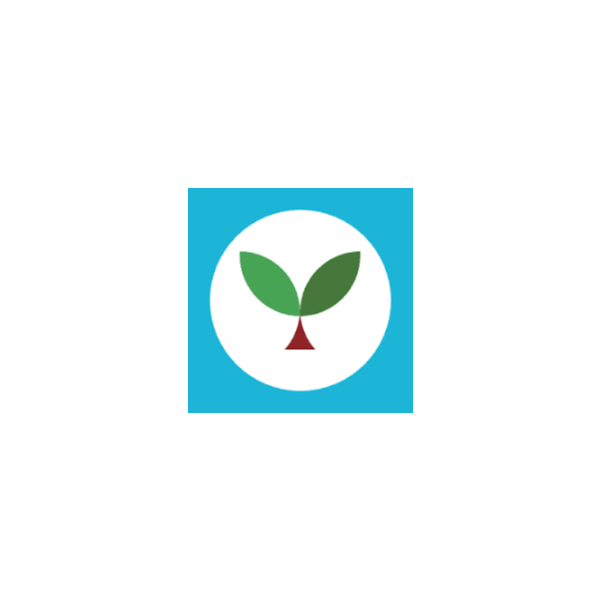 Seedlang pro membership Spanish  подписка на 1 месяц