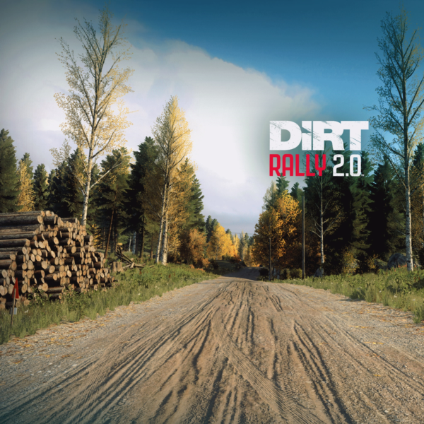 DiRT Rally 2.0 — Finland (Rally Location) PS4 ПСН