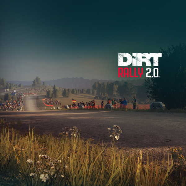 DiRT Rally 2.0 — Germany (Rally Location) PS4 ПСН