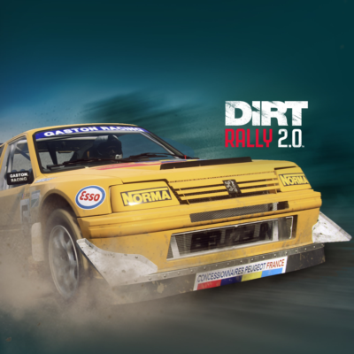 ✅DiRT Rally 2.0 - Peugeot 205 T16 Rallycross✅PS4✅ПСН