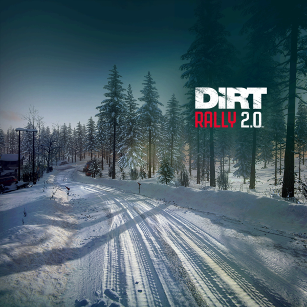 DiRT Rally 2.0 — Sweden (Rally Location) PS4 ПСН