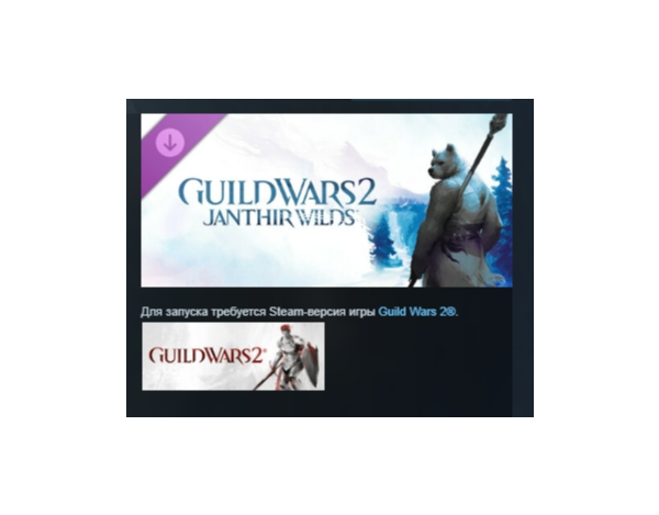 Guild Wars 2® Janthir Wilds™ Expansion DLC АВТОДОСТАВКА STEAM РОССИЯ
