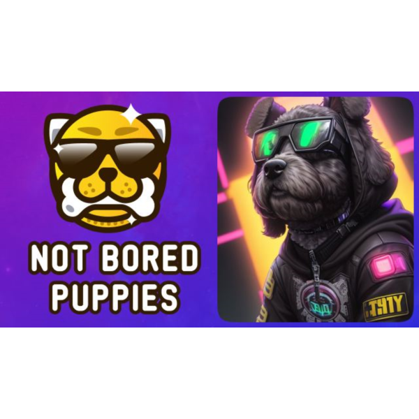 Рефералы на проект Not Bored Puppies Bot дешево