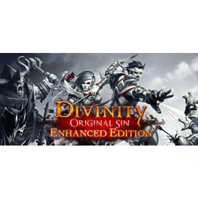 Divinity: Original Sin - Enhanced Edition Россия + Снг