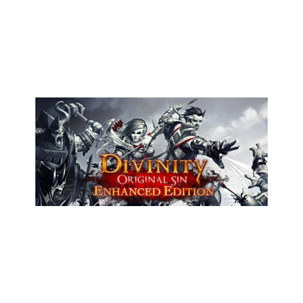 Divinity: Original Sin — Enhanced Edition Россия + Снг