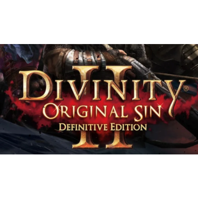 Divinity Original Sin 2 / П3 активация PS5