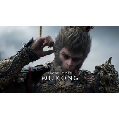 Black Myth: Wukong Deluxe Steam Offline NO Queue