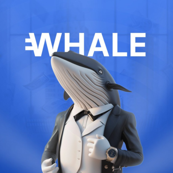 Рефералы на проект Whale App Bot дешево быстро