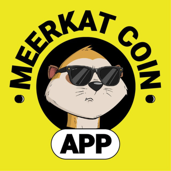 Рефералы на проект meerkat coin bot дешево быстро