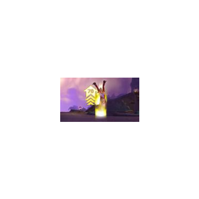 ✅World of Warcraft • Повышение уровня 🎁 Украина
