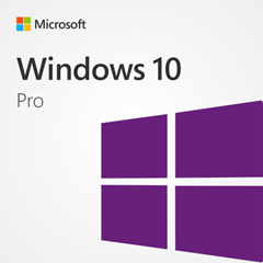 WINDOWS 10/11 Professional