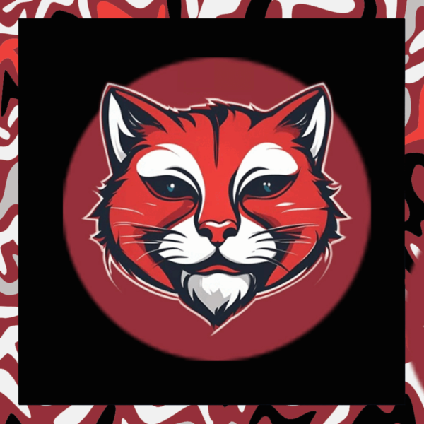 Redka VPN БЫСТРО 10 ГБ/с Польша личный