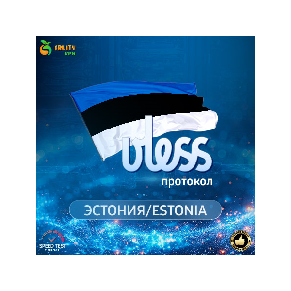 VPN Эстония (vless / tcp · xhttp) · 1-6m · DNS DoH