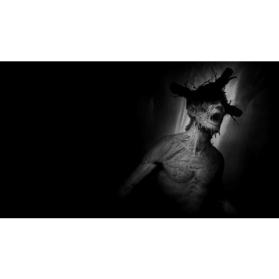 Darkwood PS5