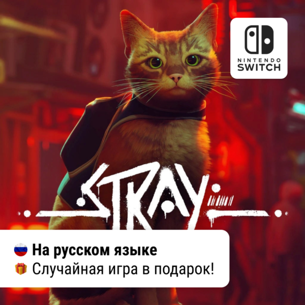 Stray | Nintendo Switch 1/2