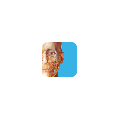 3D Dental Anatomy Human Anatomy Atlas ✅ Microsoft Store