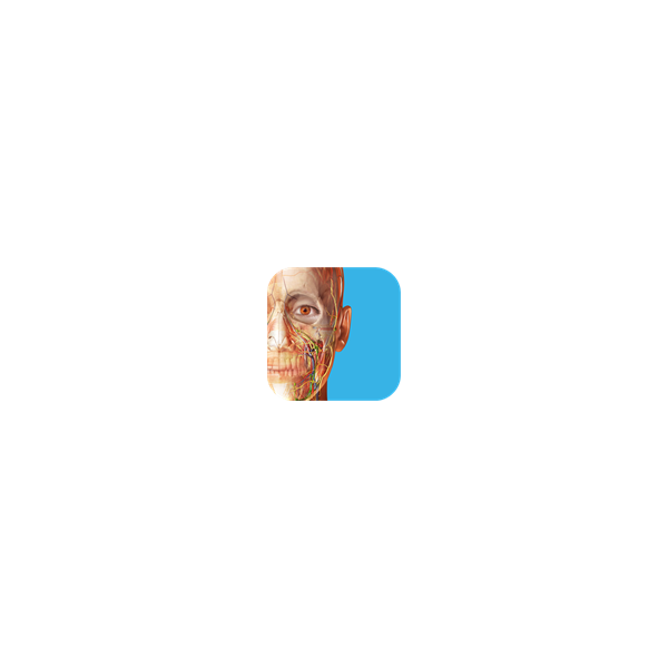 3D Dental Anatomy Human Anatomy Atlas Microsoft Store