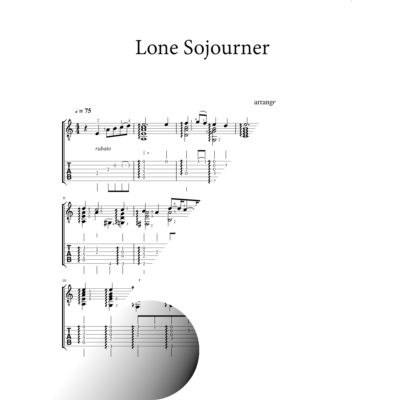 Lone Sojourner (from "Genshin Impact")