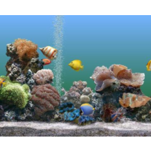Gorgeous zactavka a seabed on your computer