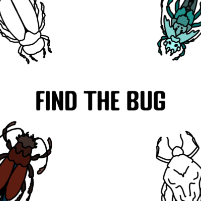 Find the Bug PS5