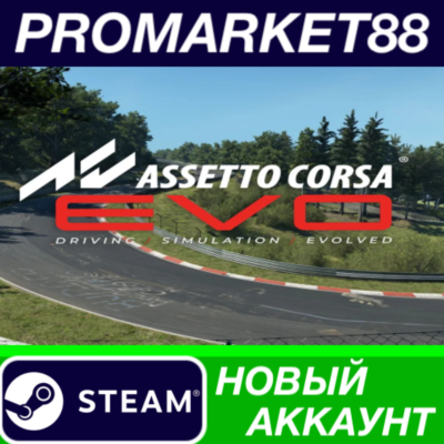 ✅ Assetto Corsa EVO Steam АККАУНТ НОВЫЙ+ПОЧТА