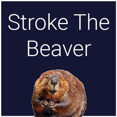 Stroke The Beaver PS5
