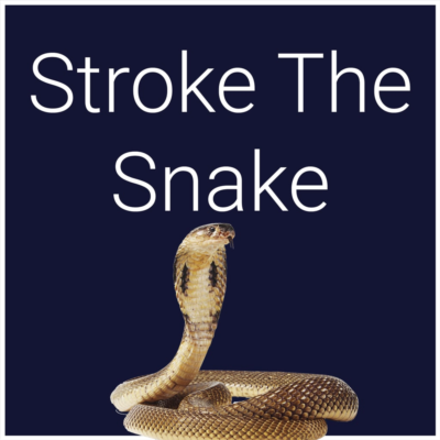 Stroke The Snake PS5