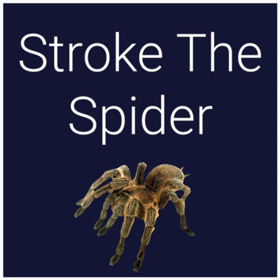 Stroke The Spider PS4 & PS5