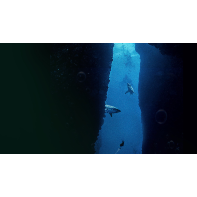 Submersed PS4 & PS5